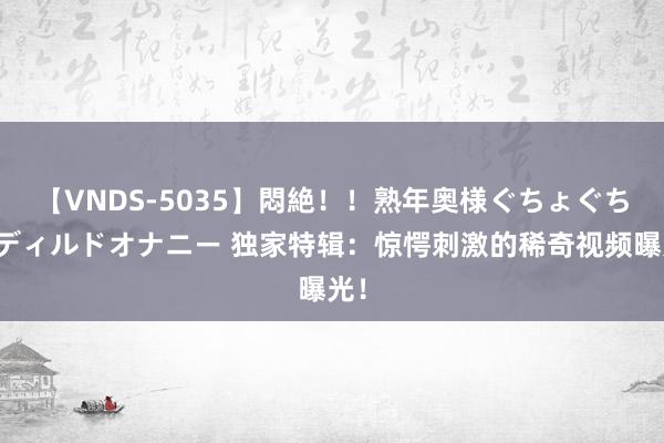 【VNDS-5035】悶絶！！熟年奥様ぐちょぐちょディルドオナニー 独家特辑：惊愕刺激的稀奇视频曝光！