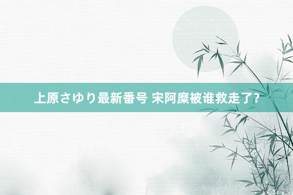 上原さゆり最新番号 宋阿糜被谁救走了？