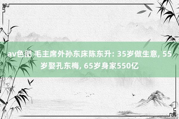 av色图 毛主席外孙东床陈东升: 35岁做生意, 55岁娶孔东梅, 65岁身家550亿