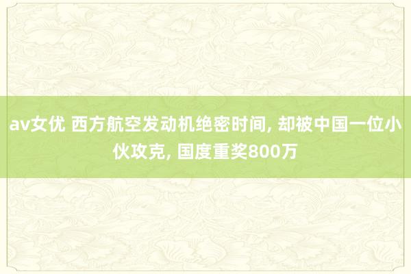 av女优 西方航空发动机绝密时间, 却被中国一位小伙攻克, 国度重奖800万