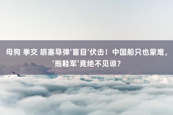 母狗 拳交 胡塞导弹‘盲目’伏击！中国船只也蒙难，‘拖鞋军’竟绝不见谅？