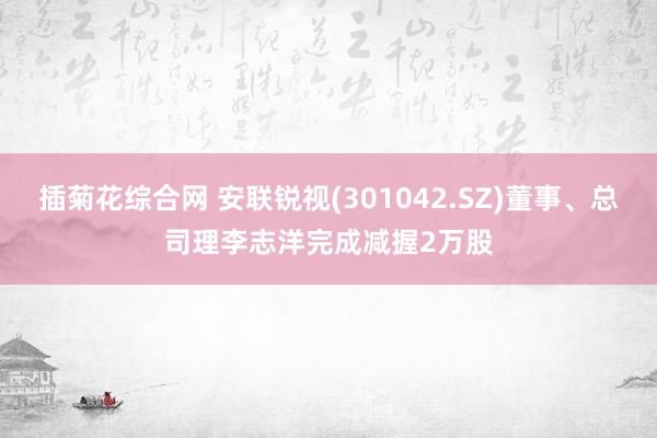 插菊花综合网 安联锐视(301042.SZ)董事、总司理李志洋完成减握2万股