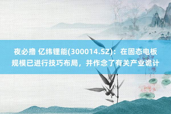 夜必撸 亿纬锂能(300014.SZ)：在固态电板规模已进行技巧布局，并作念了有关产业诡计