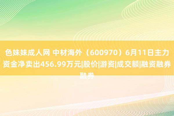 色妹妹成人网 中材海外（600970）6月11日主力资金净卖出456.99万元|股价|游资|成交额|融资融券