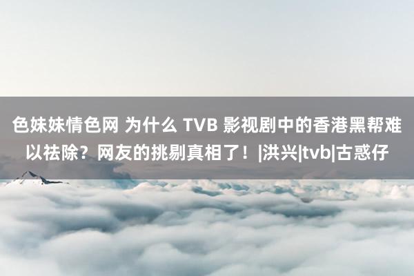 色妹妹情色网 为什么 TVB 影视剧中的香港黑帮难以祛除？网友的挑剔真相了！|洪兴|tvb|古惑仔