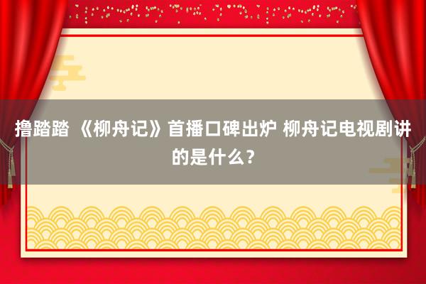 撸踏踏 《柳舟记》首播口碑出炉 柳舟记电视剧讲的是什么？