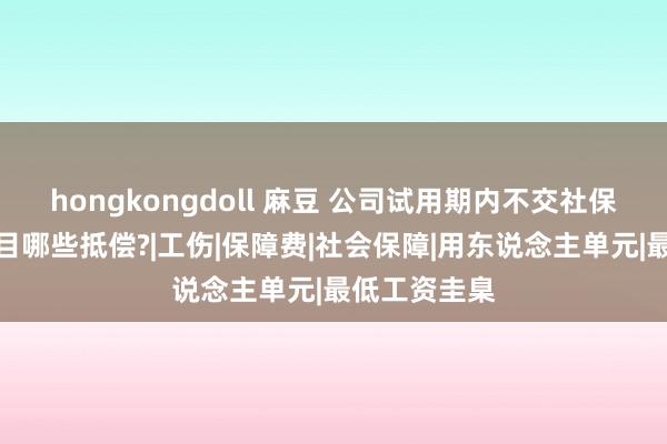 hongkongdoll 麻豆 公司试用期内不交社保，职工可条目哪些抵偿?|工伤|保障费|社会保障|用东说念主单元|最低工资圭臬